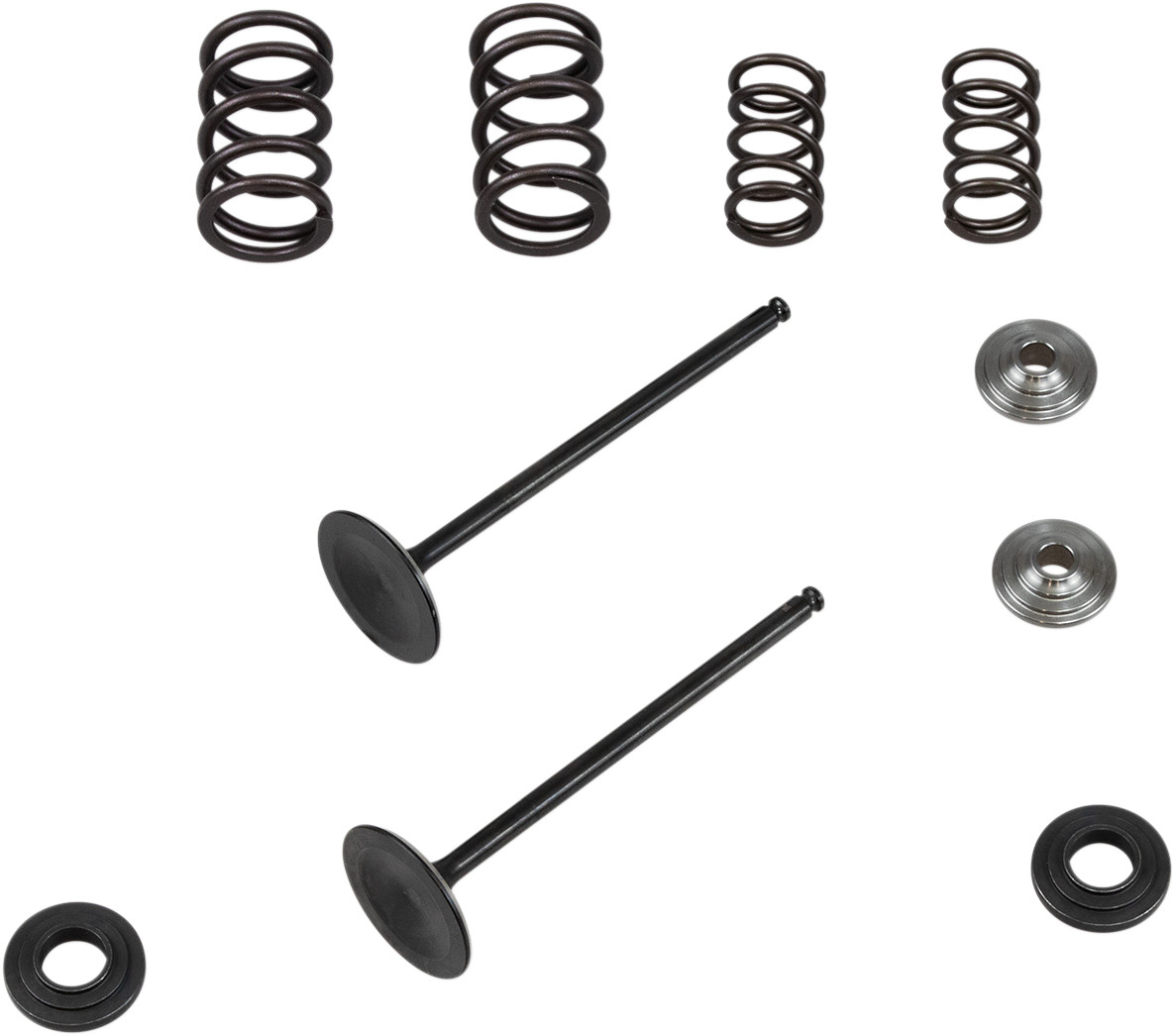 KIBBLEWHITE Intake Stainless Conversion Valve and Spring Kit