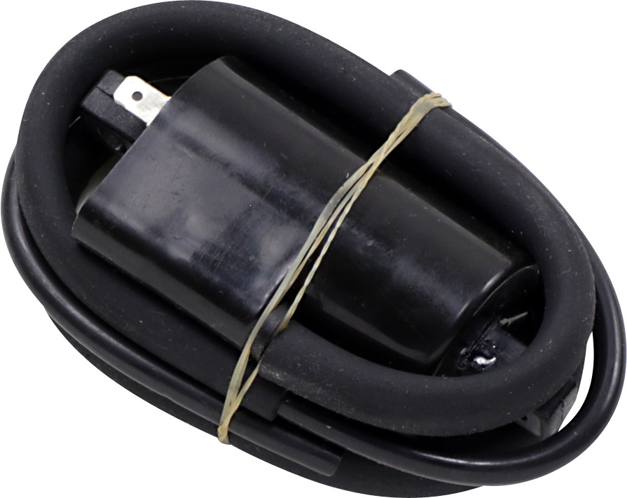 RICK'S MOTORSPORT ELECTRIC Coil