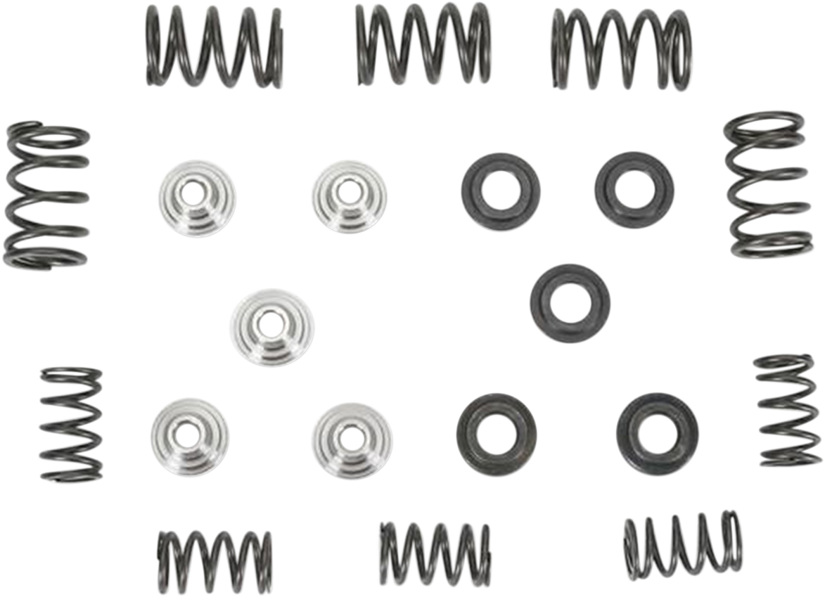 Valve Spring Kit