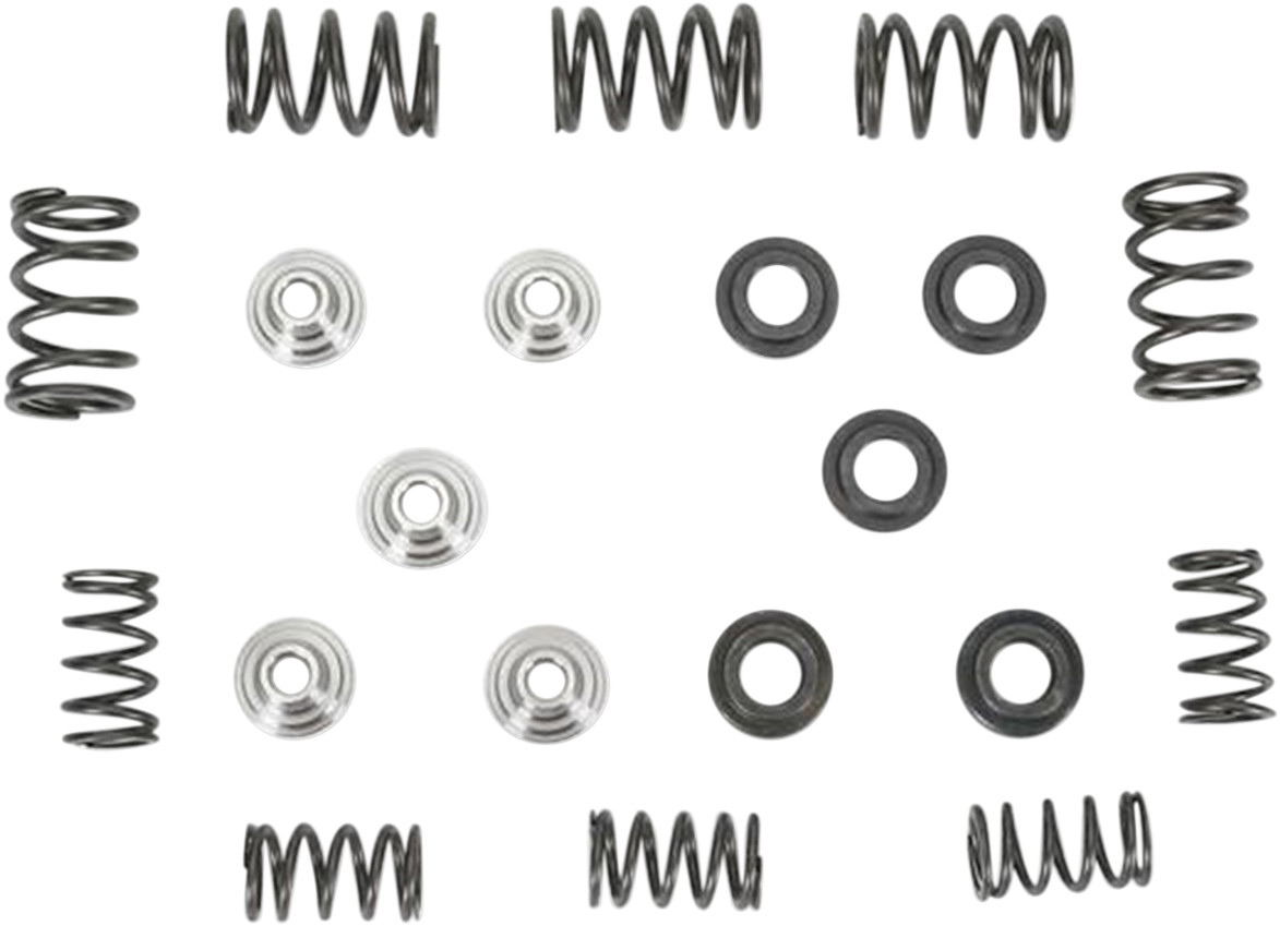 KIBBLEWHITE Lightweight Racing Valve Spring Kit