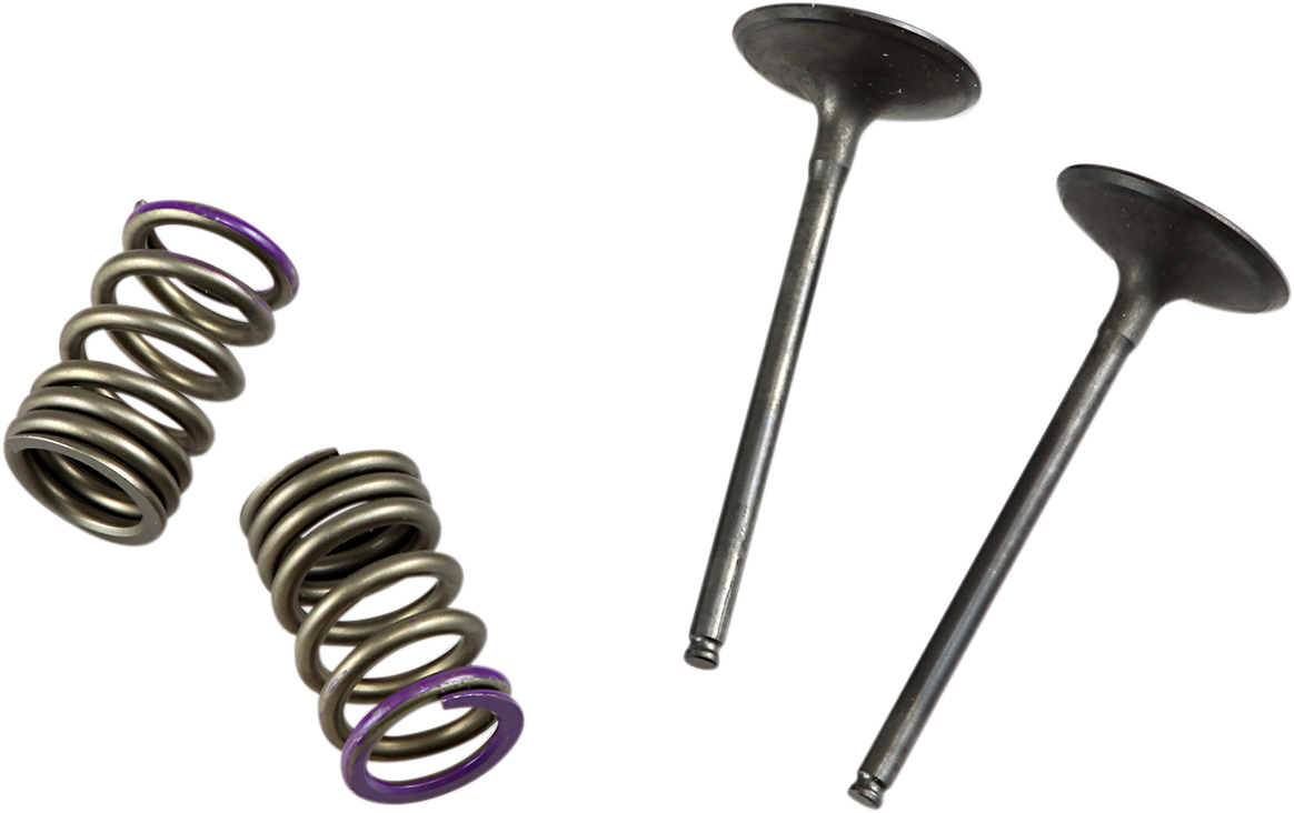 Prox Valve and Spring Kit - Intake - Kawasaki