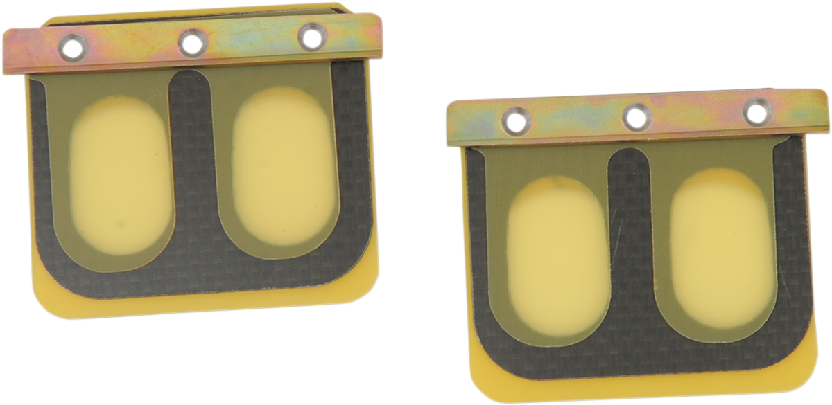 Replacement Pro Series Reed Set for RAD Valve