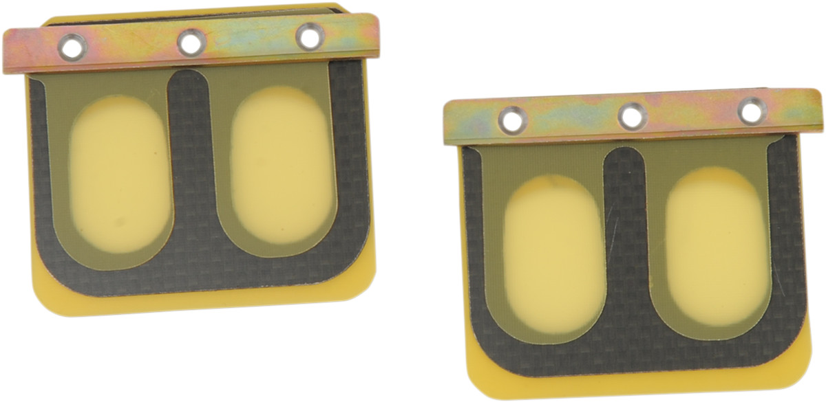 Replacement Pro Series Reed Set for RAD Valve