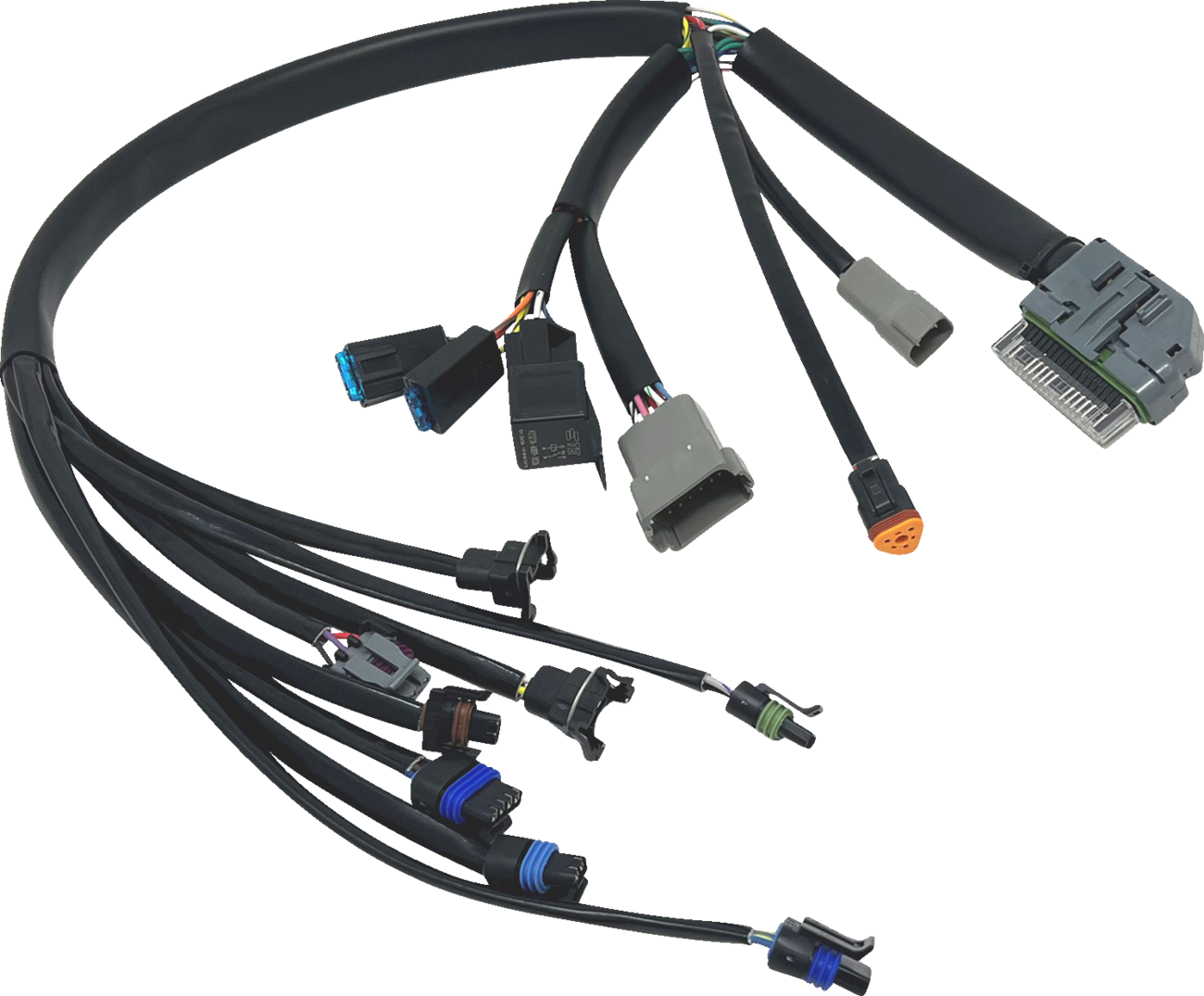 EFI Harness