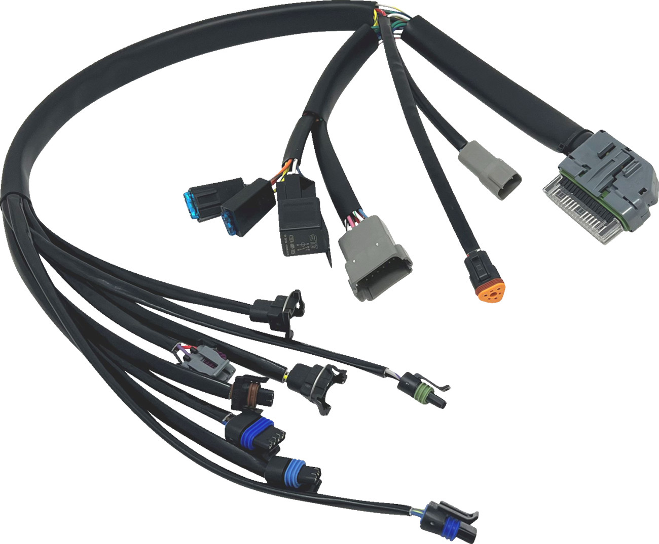 NAMZ EFI Harness