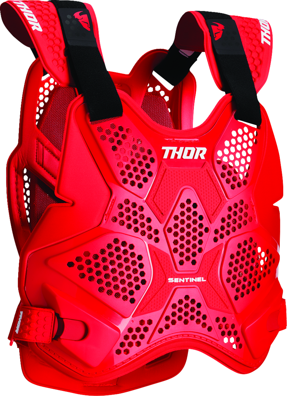 Thor Sentinel Pro Guard