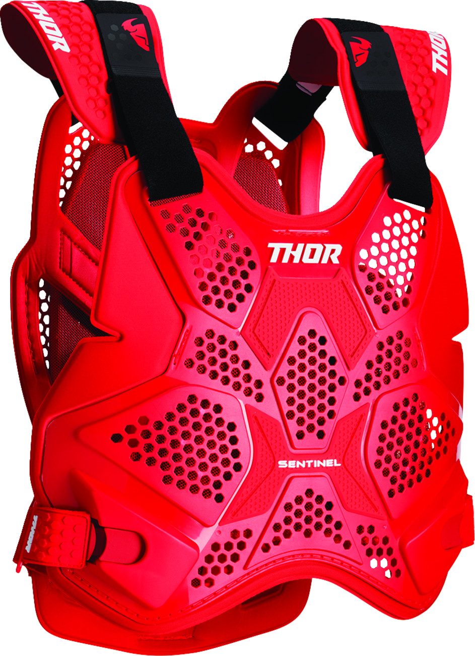 Thor Sentinel Pro Guard