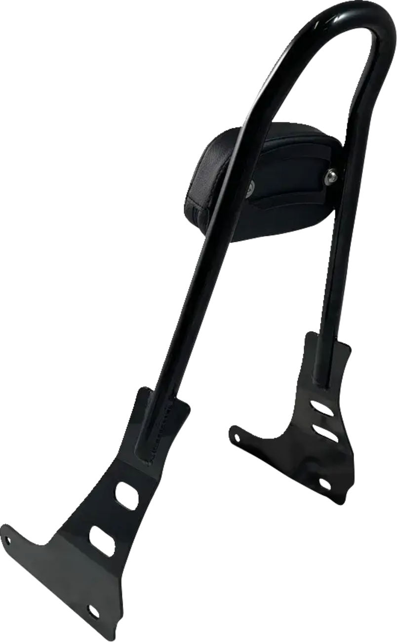 Motherwell One-Piece Sissy Bar - Gloss Black 2022-2024 Harley Davidson RH975 Nightster / 2023-2024 Harley Davidson RH975S Nightster Special