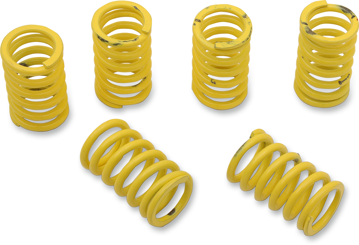 Clutch Spring Kit