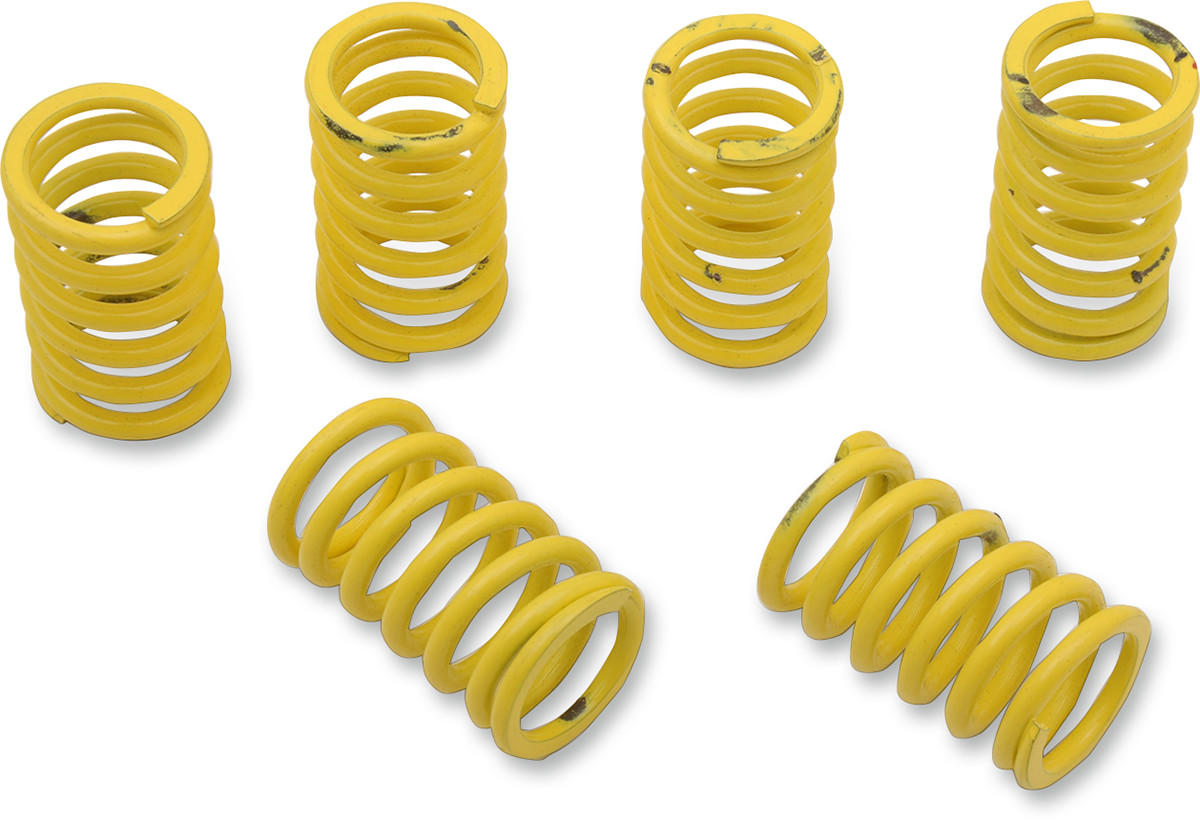 Clutch Spring Kit