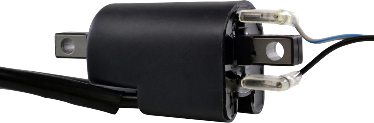 RM STATOR Ignition Coil