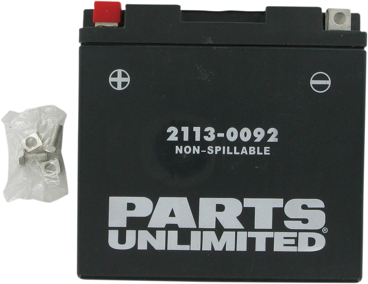 Battery part. АГМ Партс. Х2 inside батарея запчасти. Parts Unlimited c11096. Parts Unlimited c11303s.