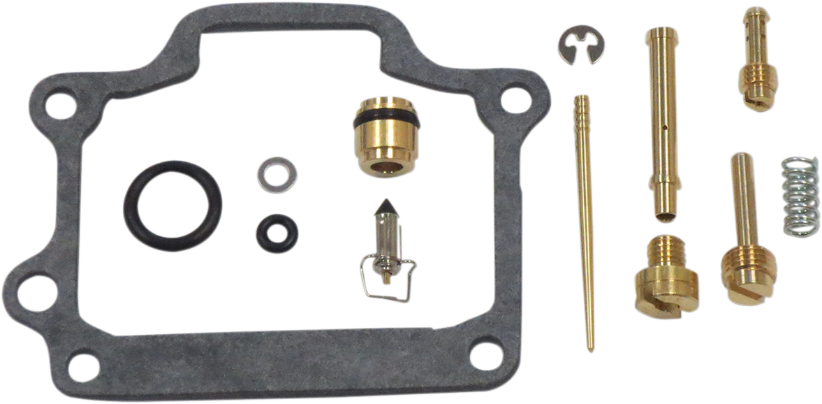 Carburetor Repair Kit
