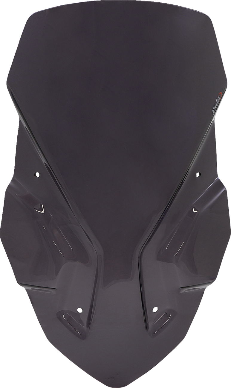 PUIG HI-TECH PARTS Touring Windscreen