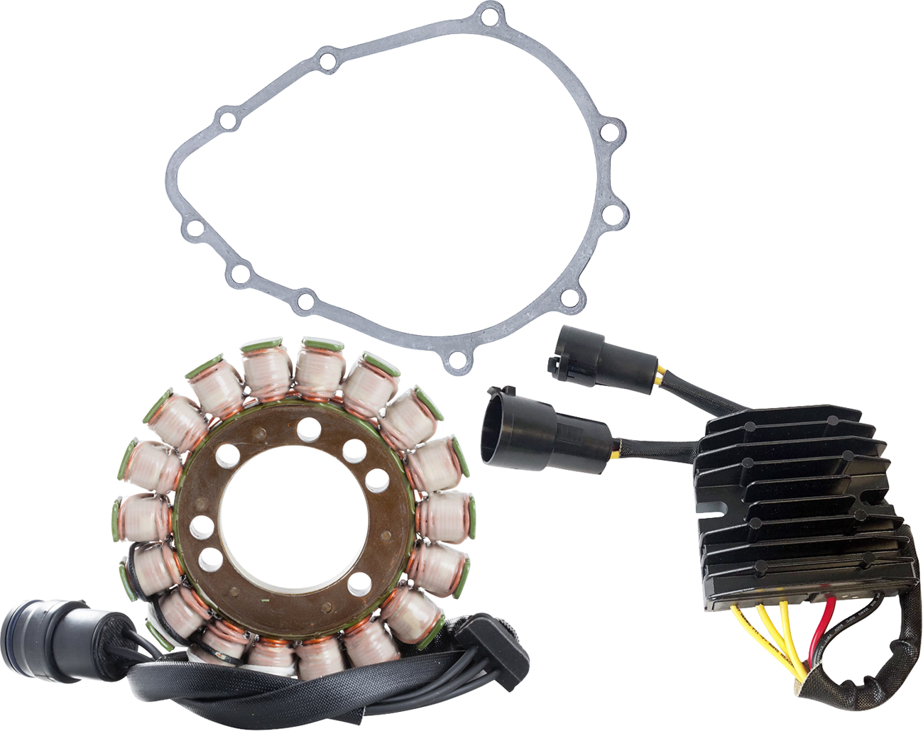 RICK'S MOTORSPORT ELECTRIC Charging Kit