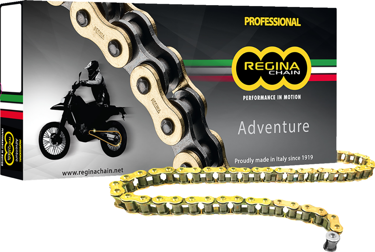 REGINA 525 ZRE Z-Ring Chain