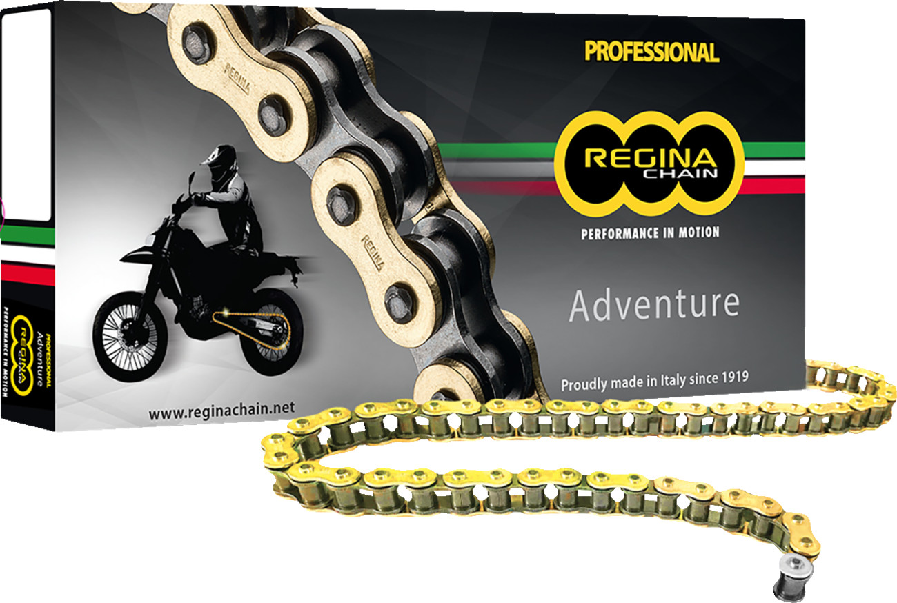 REGINA 525 ZRE Z-Ring Chain