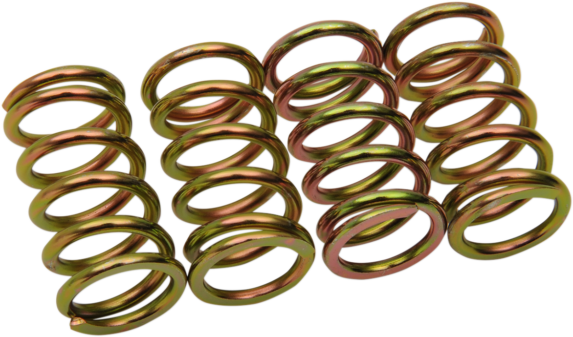 Clutch Spring Kit