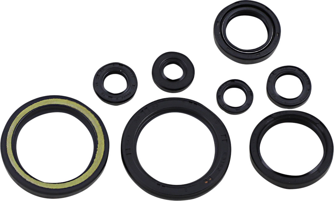 Oil Seal Kit