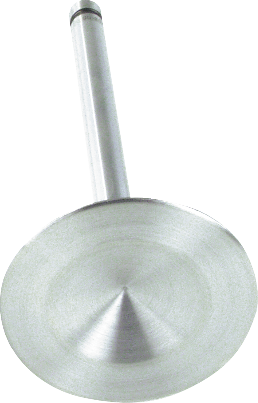 Replacement Stainless Steel Valves for S&S Heads