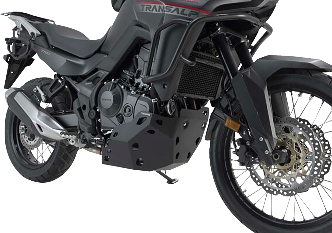 SW-MOTECH Engine Guard