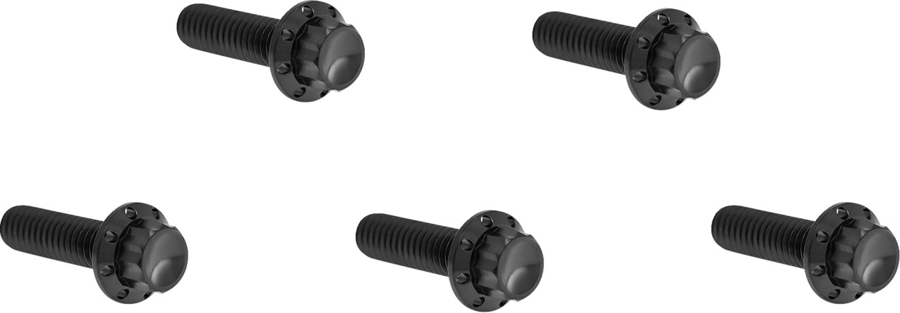 Arlen Ness 12-Point Titanium Derby Cover Bolt Kit For Harley Softail 2018-2025