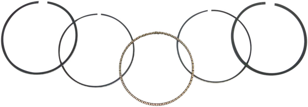 WSM Piston Rings