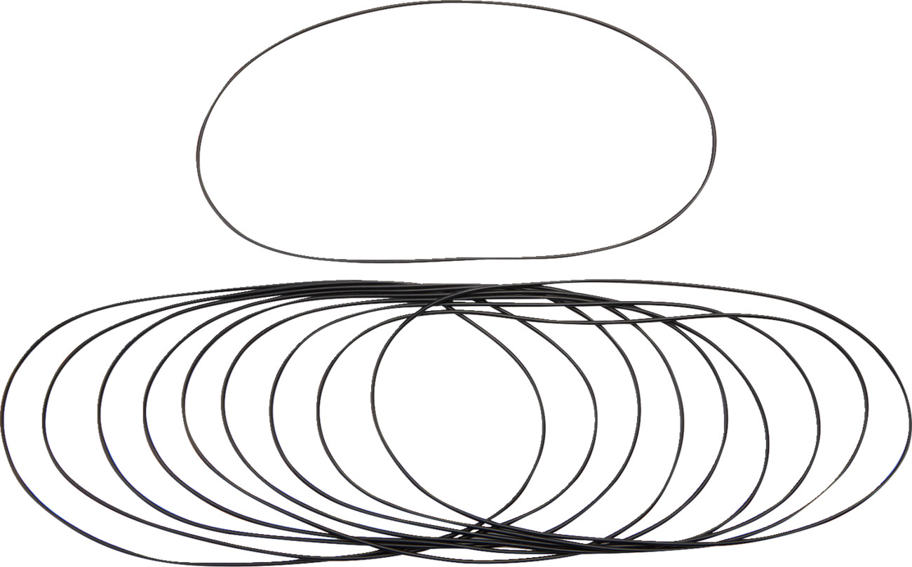 JAMES GASKET Chain Housing Cover O-Ring