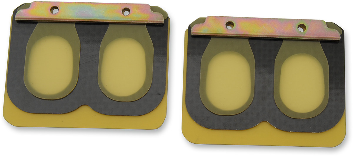 BOYESEN Replacement Pro Series Reed Set for RAD Valve