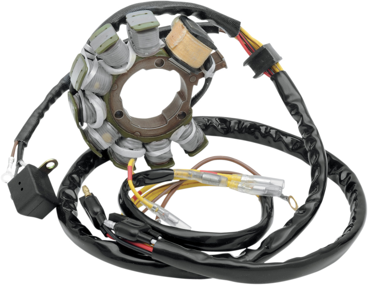 RICK'S MOTORSPORT ELECTRIC Stator