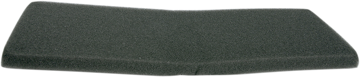 Replacement OEM Air Filter