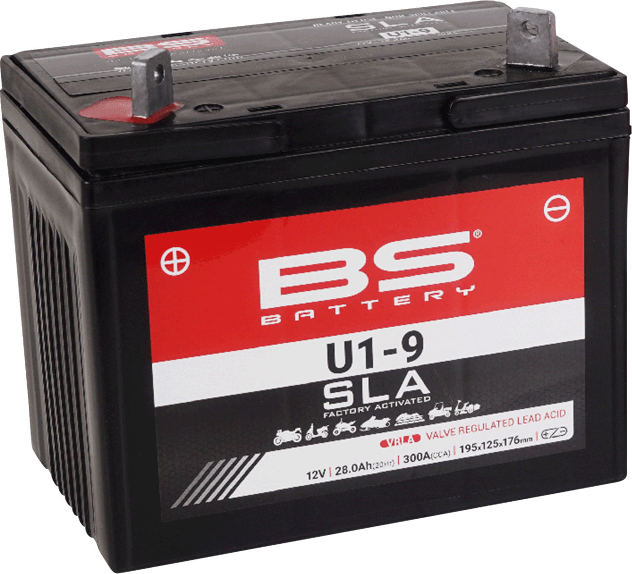 BS BATTERY SLA Factory- Activated AGM Maintenance-Free Battery