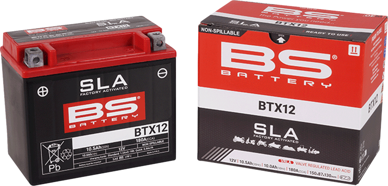BS BATTERY SLA Factory- Activated AGM Maintenance-Free Battery