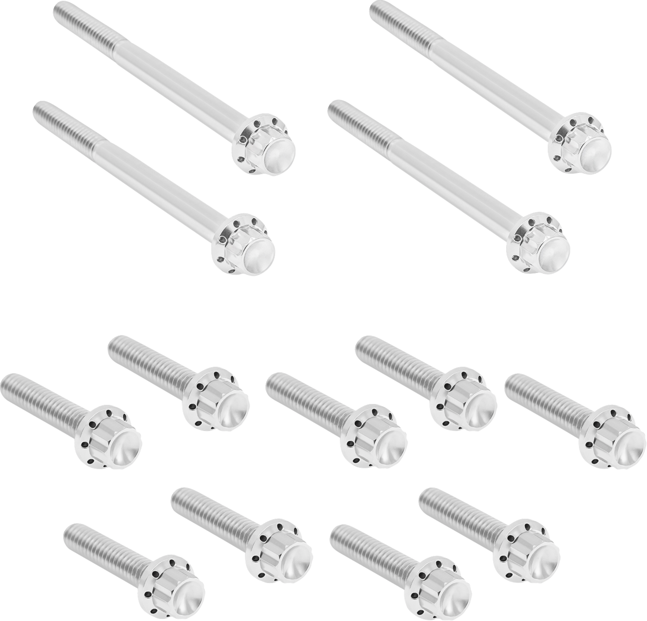 ARLEN NESS Outer Primary Cover Titanium 12-Point Bolt Kit