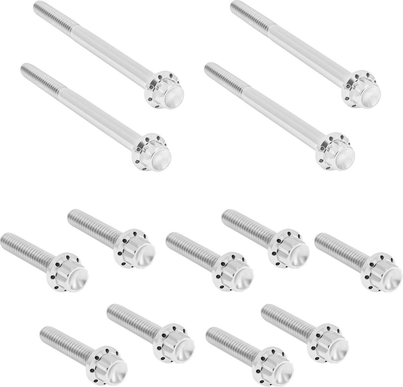 Arlen Ness 12-Point Titanium Primary Bolt Kit For Harley Softail 2018-2026