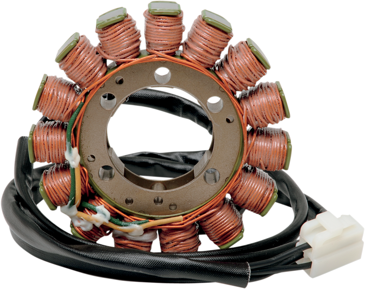 RICK'S MOTORSPORT ELECTRIC Stator