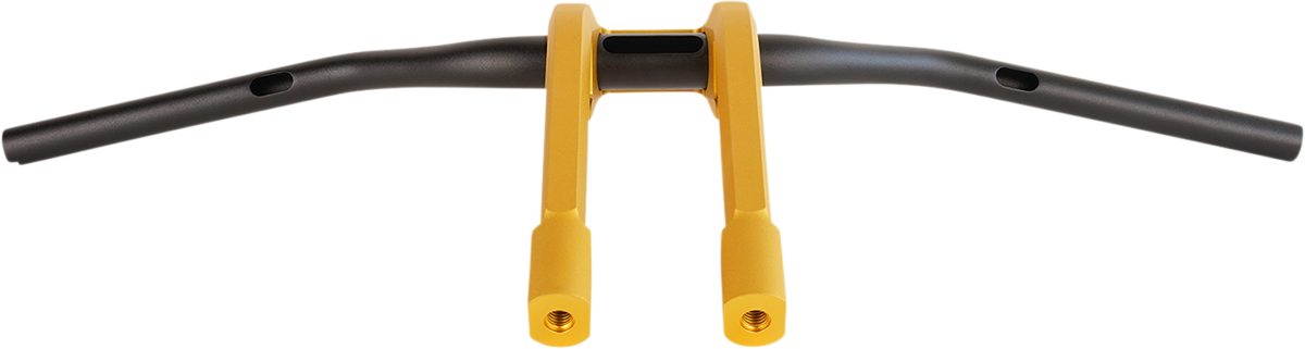 PERFORMANCE MACHINE (PM) Phatbar & Riser Kit