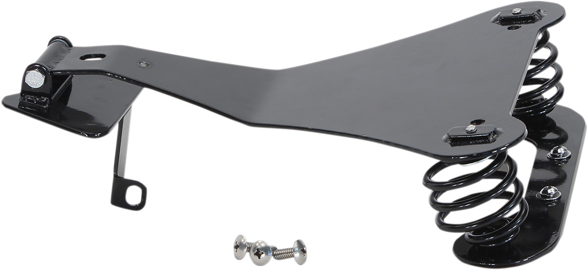 MUSTANG Spring Kit