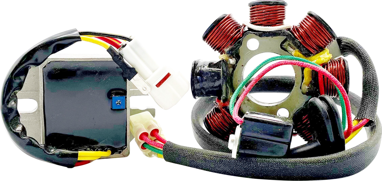 Rick's motorsport electric Lithium-Ion Compatible Charging Kit - KTM KTM