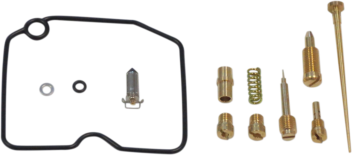 Carburetor Repair Kit