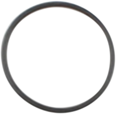Cometic Starter O-Ring Harley Davidson