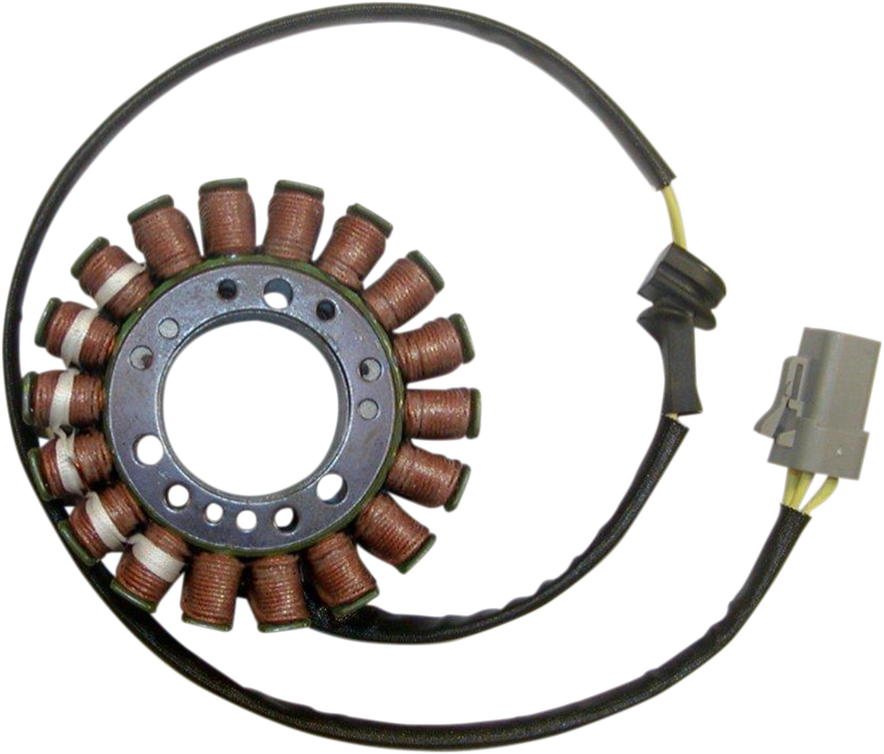 Rick's motorsport electric Stator - Buell