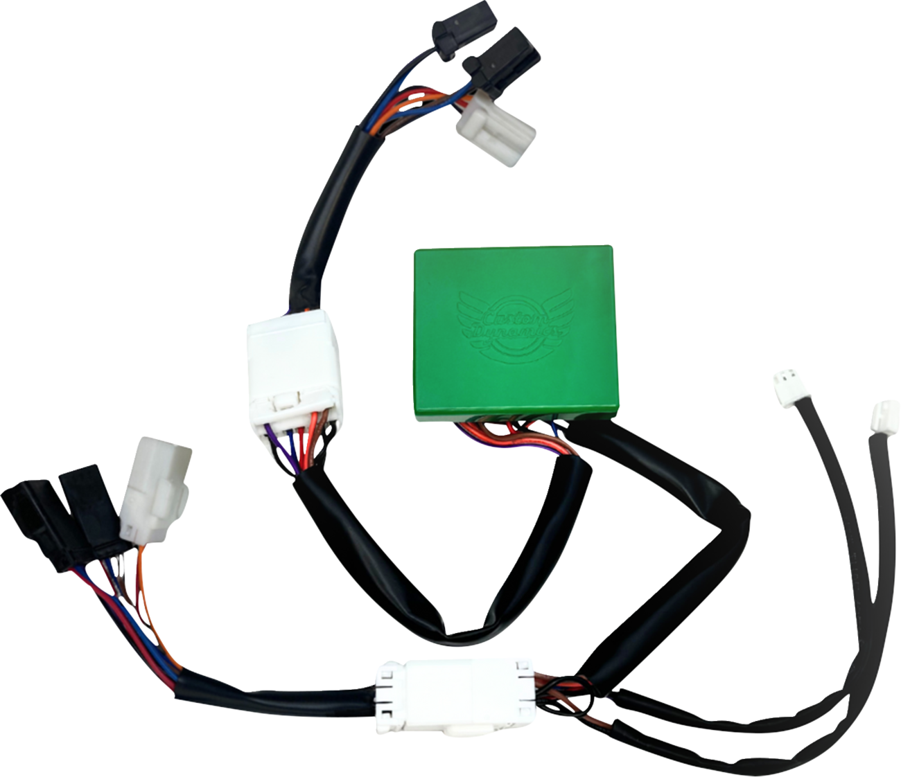 CUSTOM DYNAMICS SMART Triple Play® Module