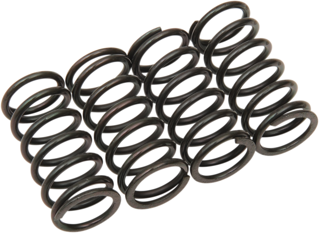 Clutch Spring Kit