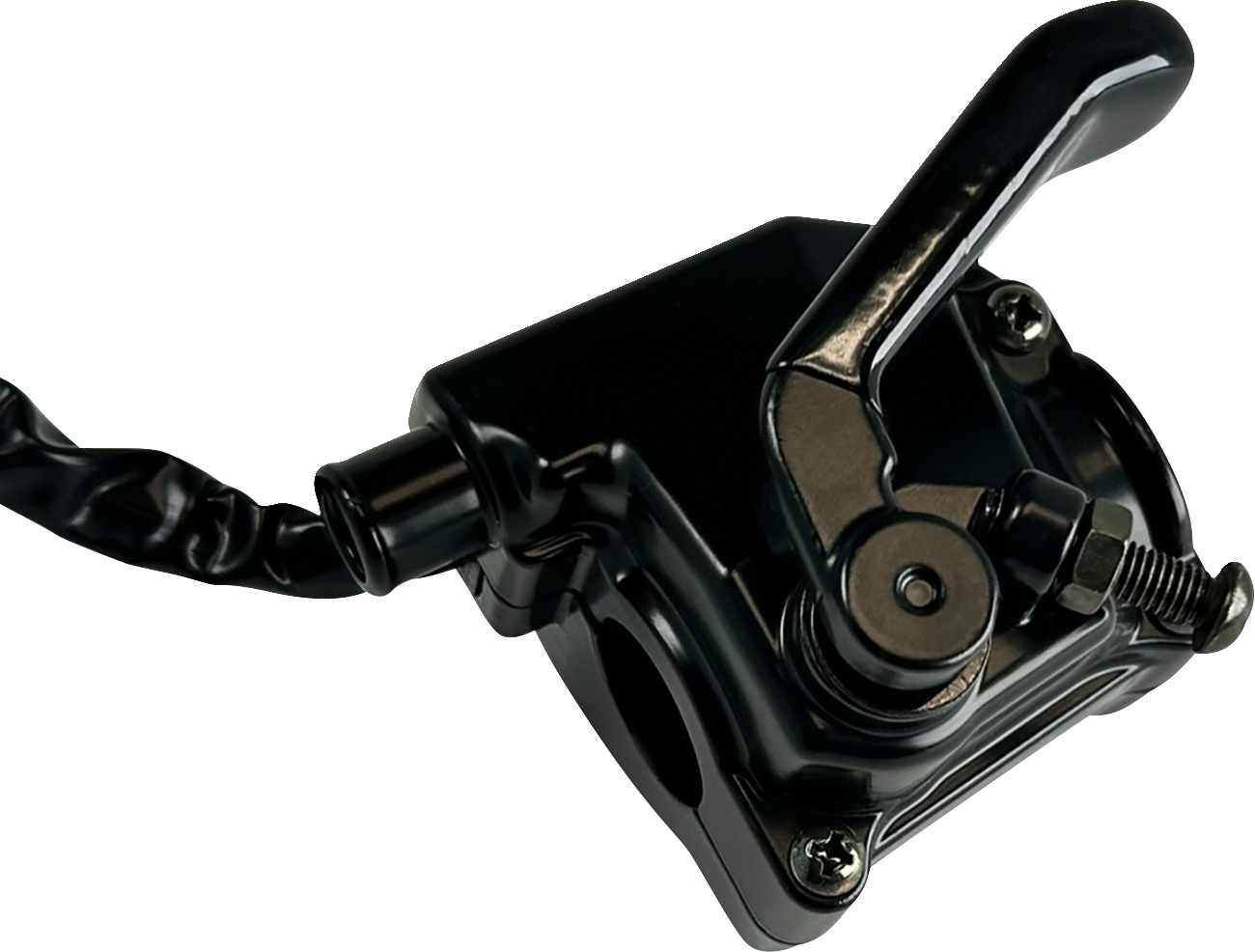 Throttle Assembly