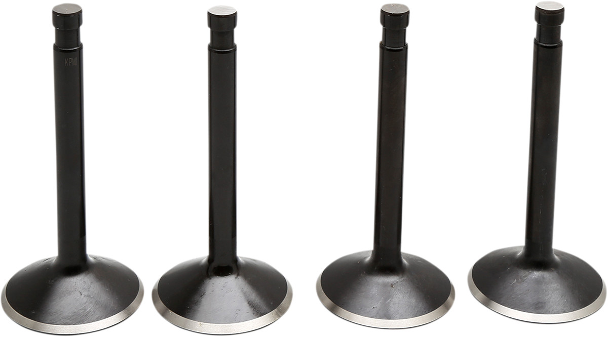 Engine Valve Kit