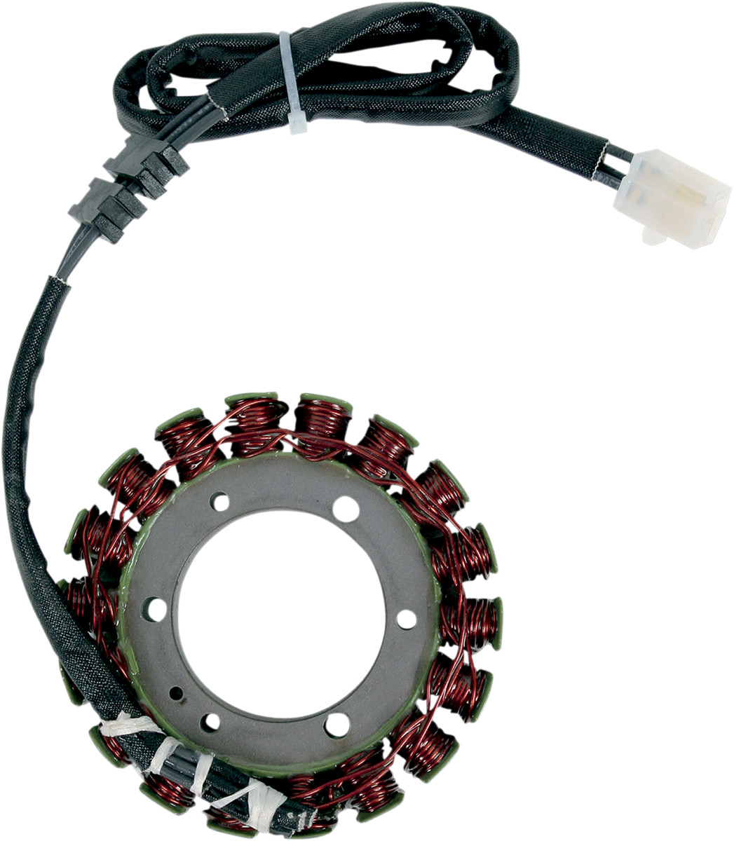 RICK'S MOTORSPORT ELECTRIC Stator