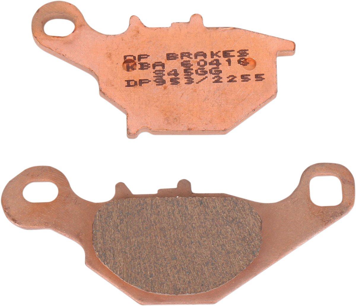 DP Brakes Sintered Rear Brake Pads Suzuki RM85 / RM85L 2005-2024