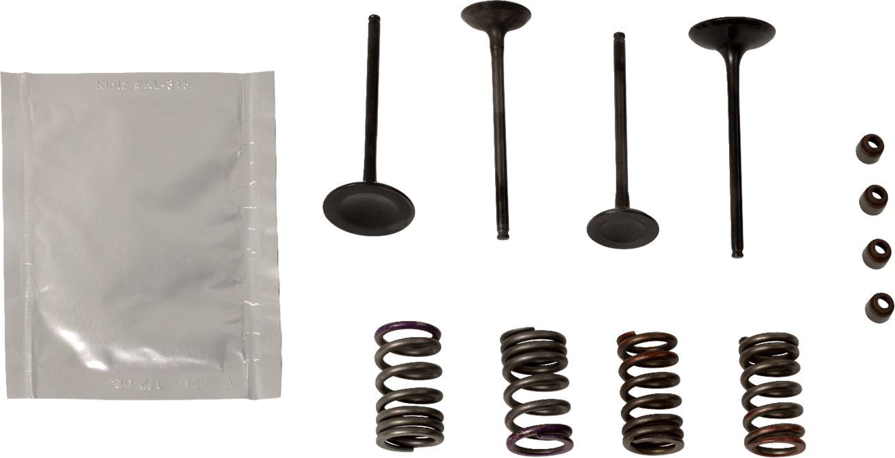 Valve Kit