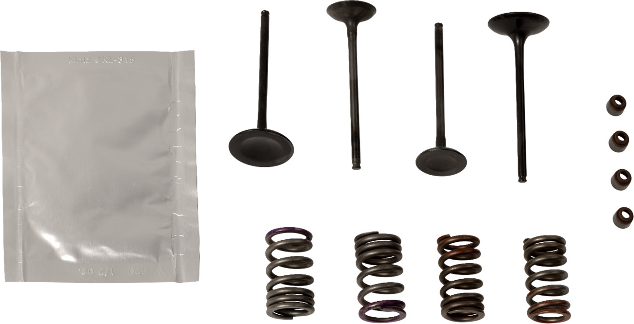 WISECO Valve Kit